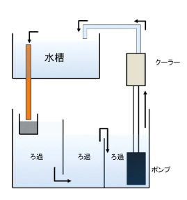 RovpNyZcQlHYdLCuDOsNJffdlFZ3aZmJvyxMaTS4.png